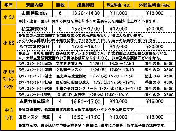 オプション講座